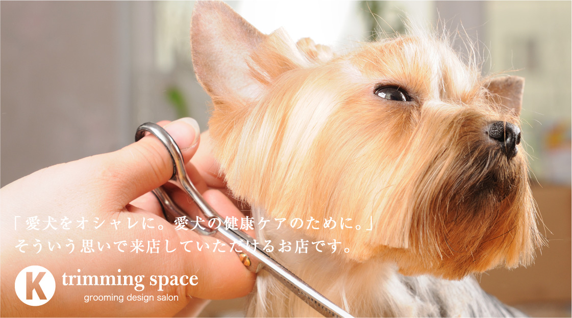 「愛犬をオシャレに。愛犬の健康ケアのために。」そういう思いで来店していただけるお店です。