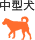 中型犬
